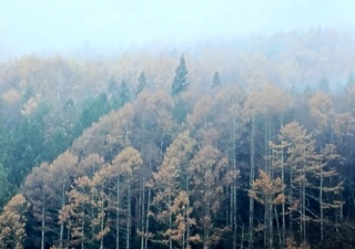 DCF00887.jpg
