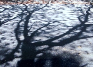 DCF00051.jpg