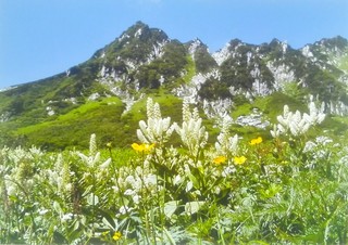 IMG_20190818_083233.jpg