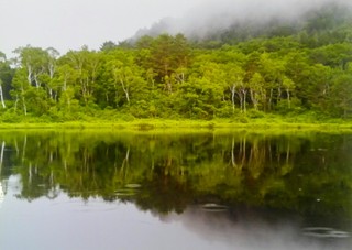 IMG_20190818_083313.jpg