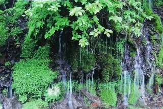 IMG_20200721_193331.jpg